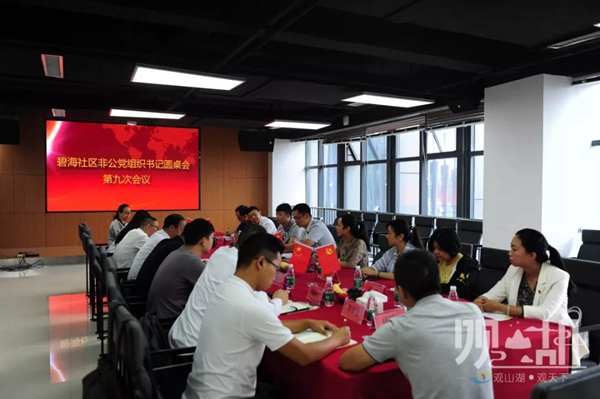 碧海社区开展第九次非公党组织书记圆桌会
