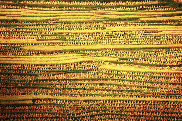 坝区现代农业高效益这样产生