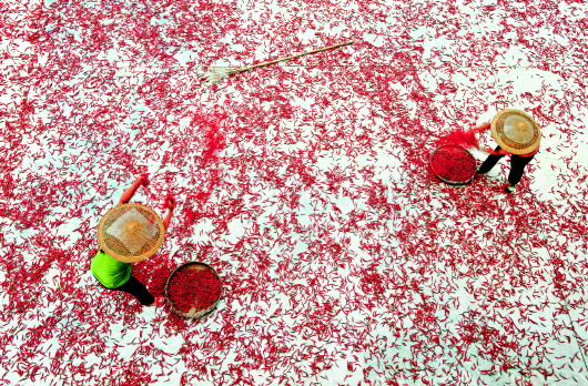 瓮安县金竹坝区产业发展起浪潮 