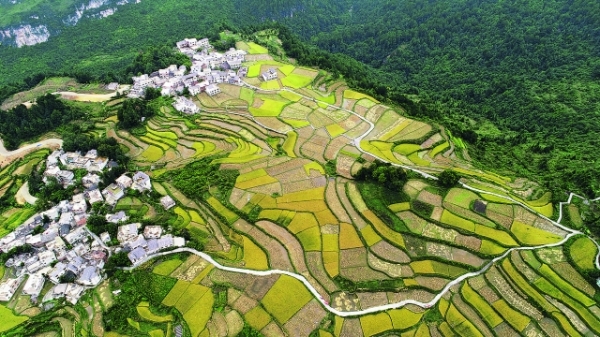 贵阳：全力解决脱贫攻坚“最后一公里”