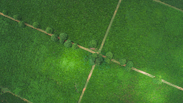 产销精准对接 让坝区农产品种得好卖得俏