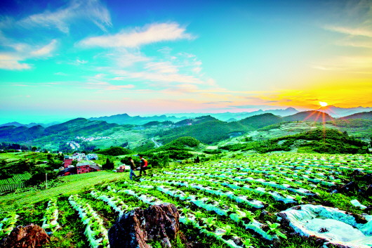 打造特色农业“聚宝盆”——桐梓县仁怀市500亩以上坝区建设见闻