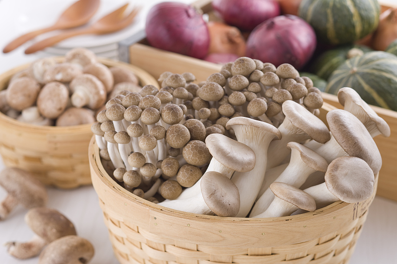 六枝特区大用坝区：企业有信心　农户有底气