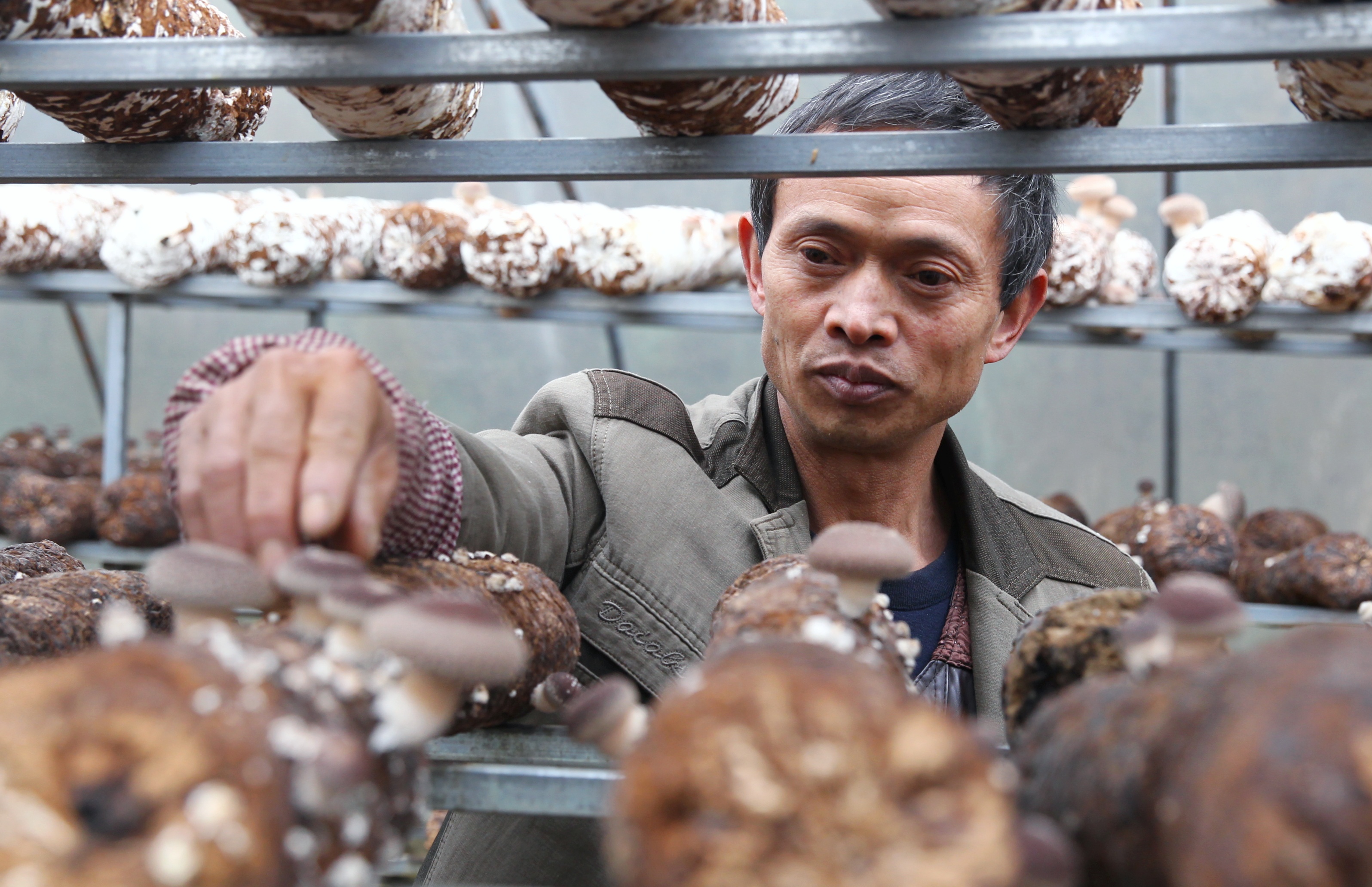 开阳县：食用菌产业助力脱贫攻坚