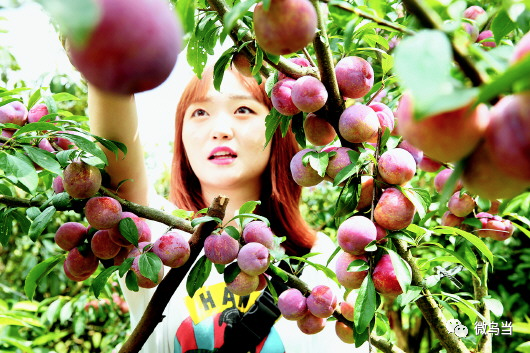 贵阳乌当区年度GDP_贵阳乌当区最新规划图