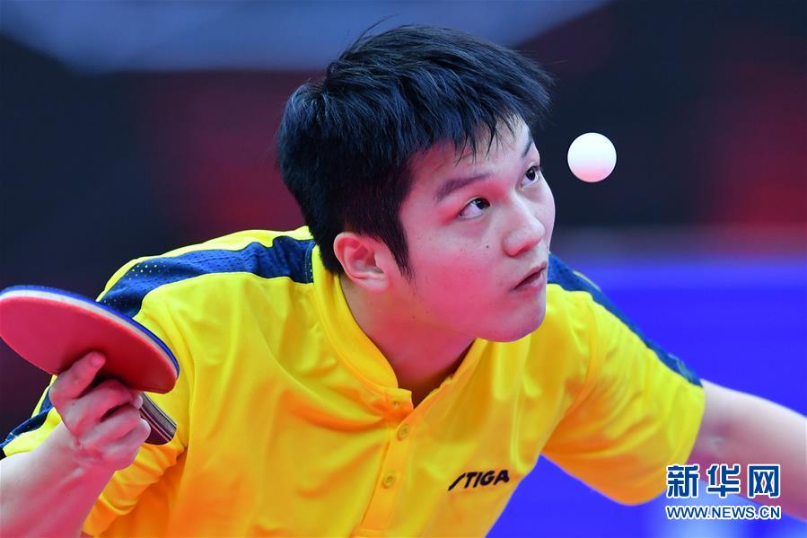 （体育）（2）乒乓球——全国锦标赛：樊振东获得男子单打冠军