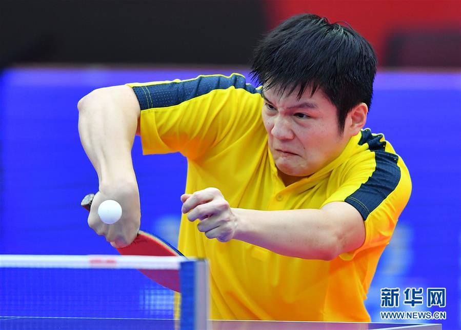 （体育）（3）乒乓球——全国锦标赛：樊振东取得男子单打冠军