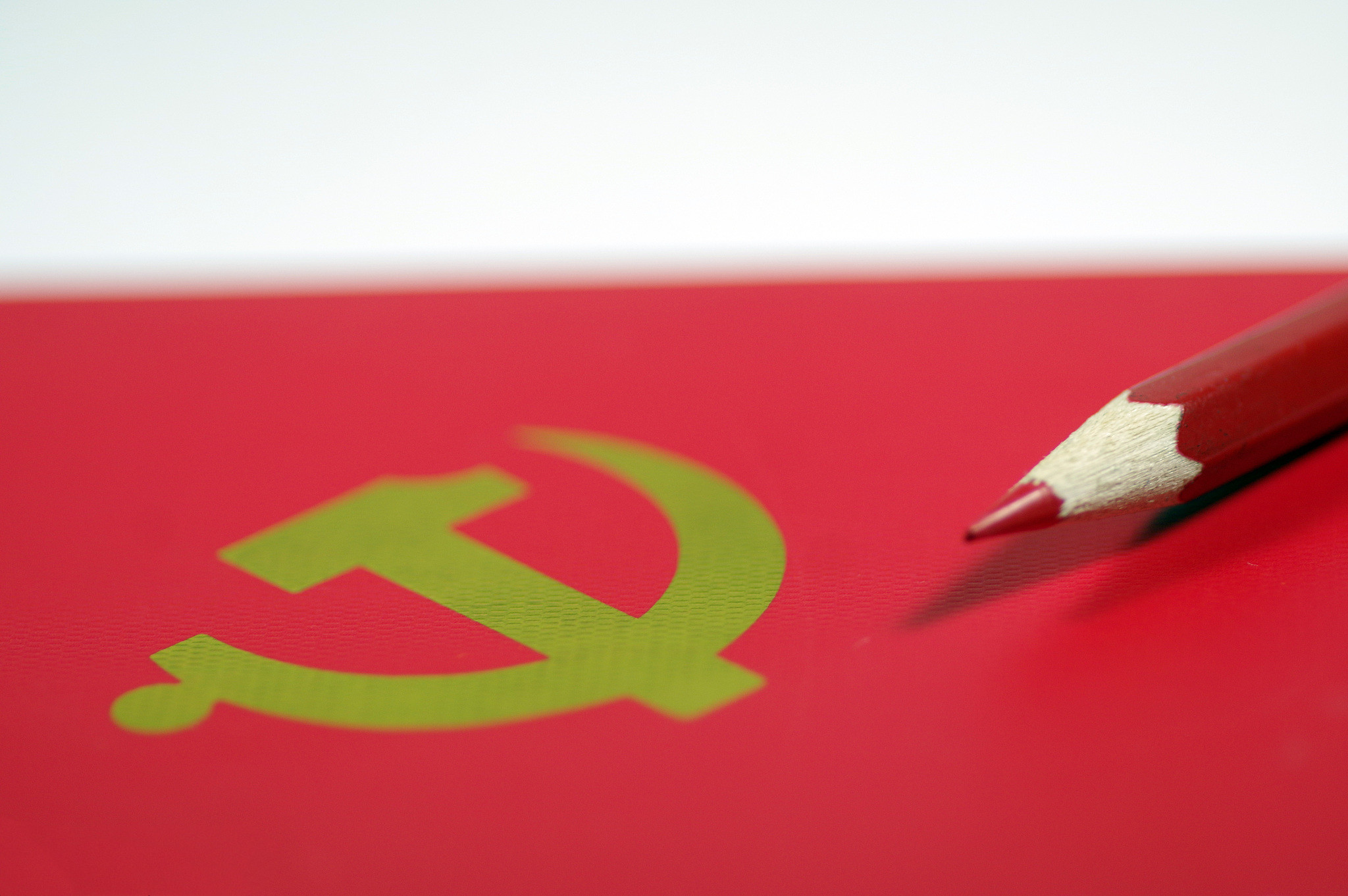 谌贻琴：深入学习贯彻党的十九届五中全会精神 全力以赴完成全年发展主要目标任务