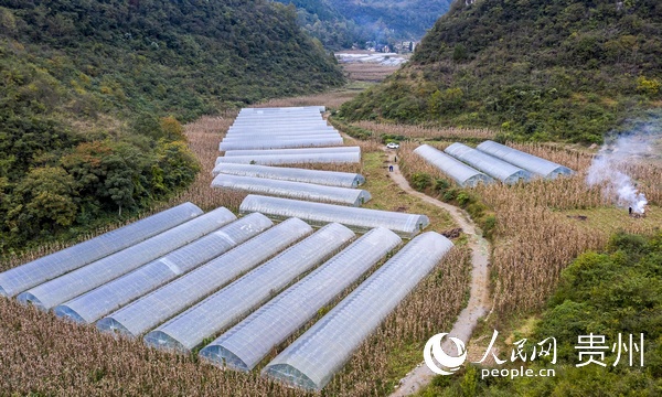 黔西gdp_黔西县城(2)