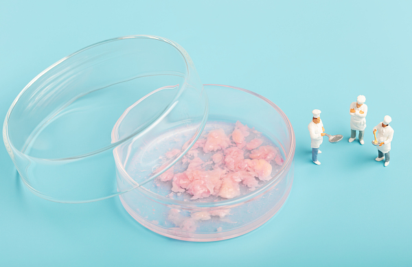 试水“人造肉”：中国企业角逐食品科技新“蓝海”