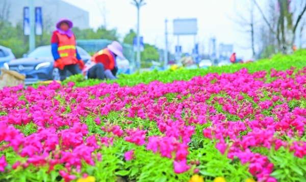 当好创文“主力军” 展示城市管理新形象 ——贵阳市综合行政执法系统创文工作扫描