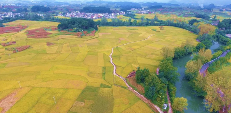 贵阳荣膺全国文明城市“四连冠”系列谈：圆梦“四连冠” 踏上新征程