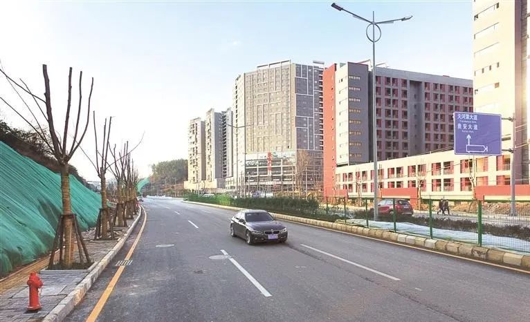 pexels-pixabay-459654.jpg 图片