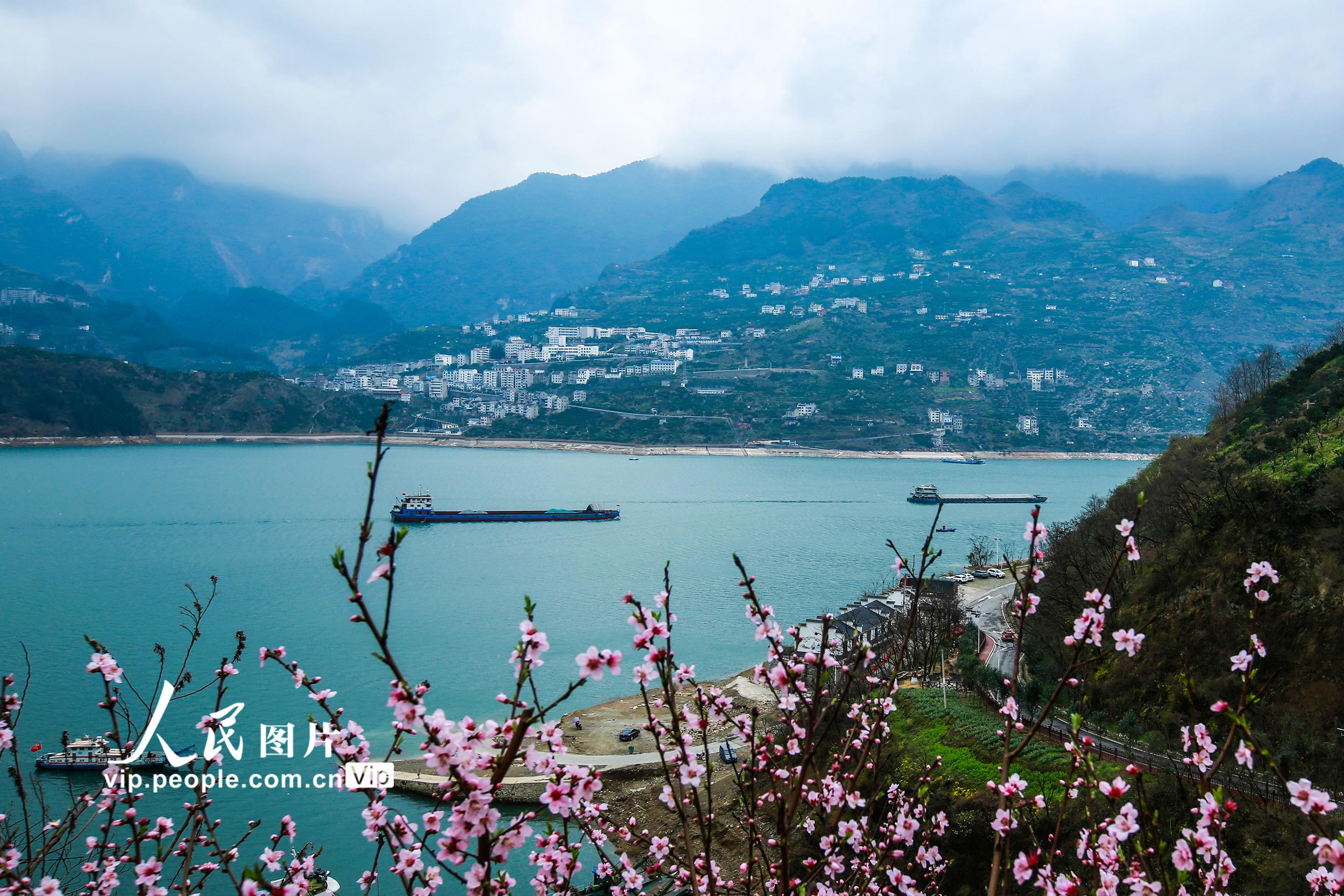 三峡大学桃花节开始了踏春赏花|三峡大学|桃花节_新浪新闻