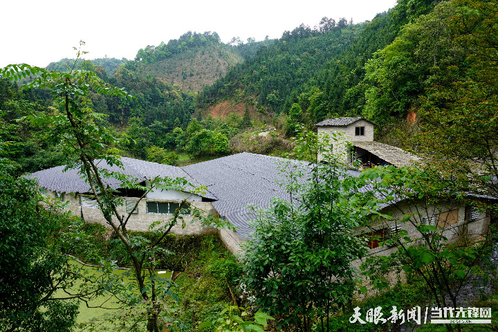黔东南州锦屏县返乡创业开创致富路