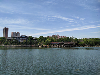 泉湖公园的湖水又回来了！湖底已“补漏”，水位正稳步回升！