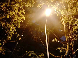 贵阳扶风路行道树茂盛遮挡路灯！云岩市政认真排查：为行道树“理发”！