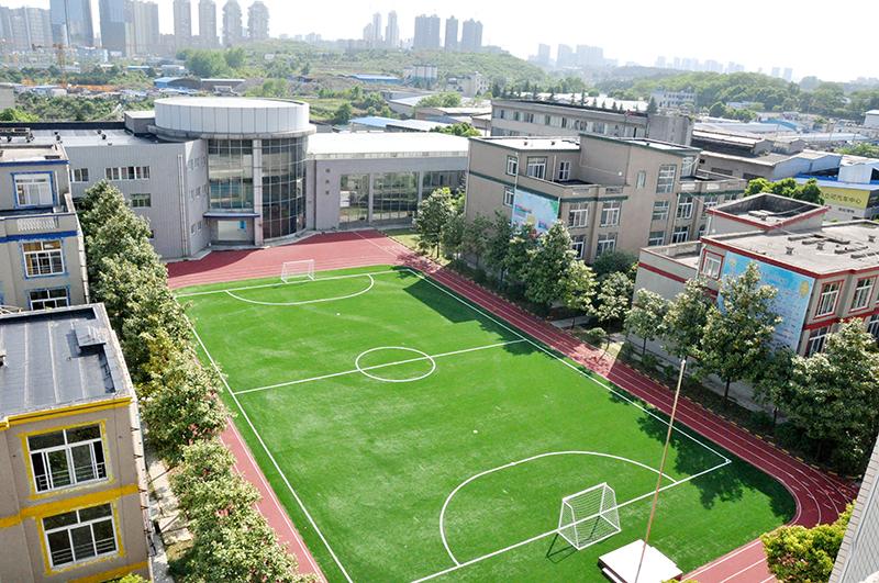 泉湖街道整治校园周边环境卫生