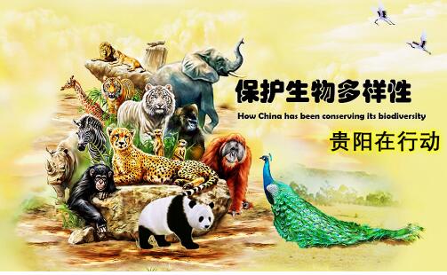 保护生物多样性 贵阳在行动