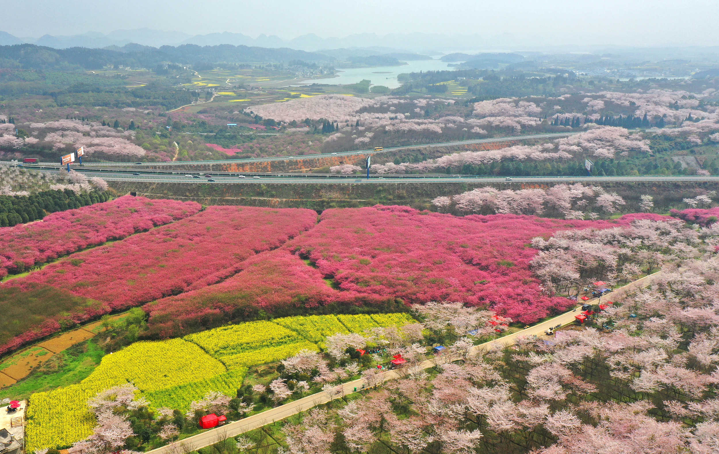 清镇市开展十三项整治巩固文明城市创建成果