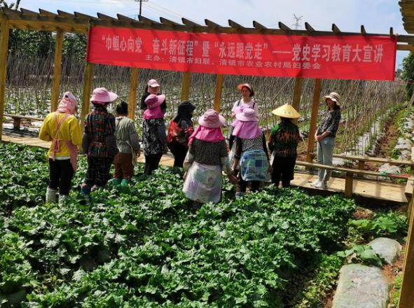 清镇市妇联念好“三字诀” 推动党史学习教育走深走实