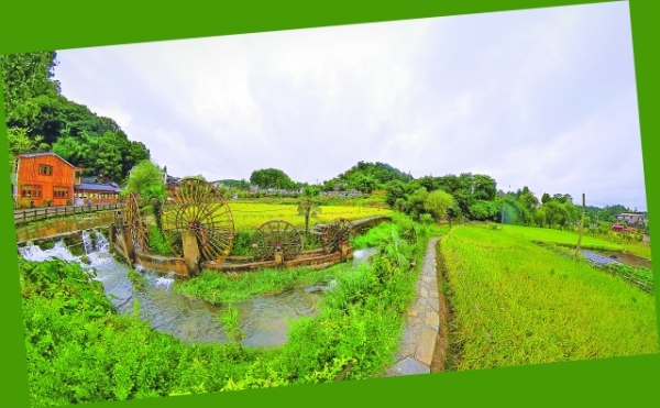 一路逐绿一路歌——乌当区奋力在生态文明建设上出新绩