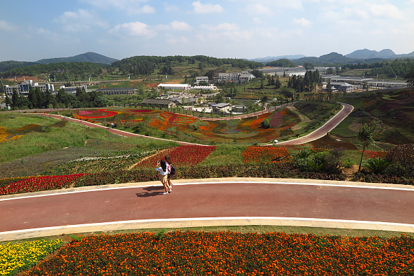 让平安与“美丽乌当”同行——乌当区推进市域社会治理现代化工作综述
