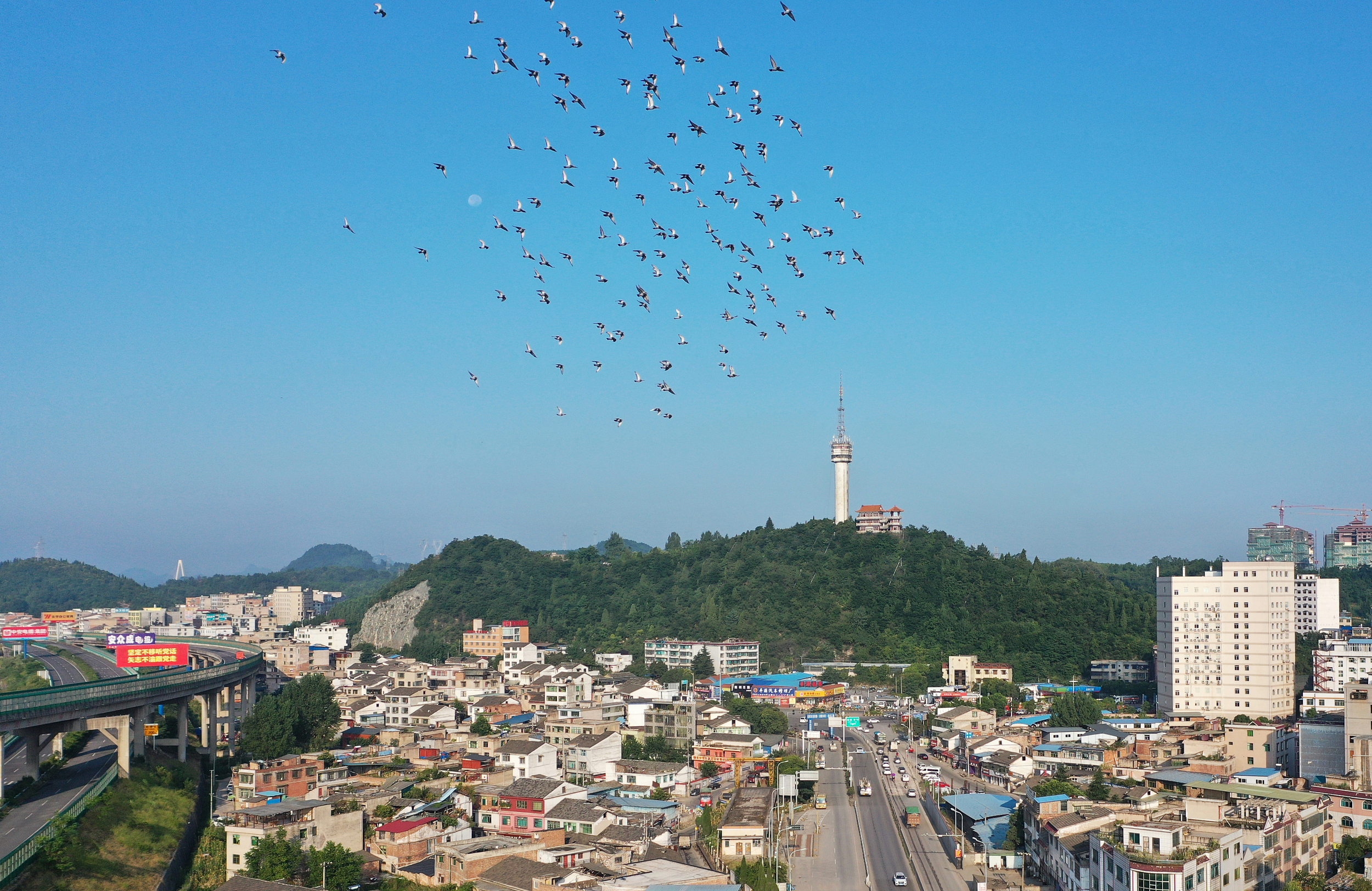 清镇市综合行政执法局多措并举 助力“三感社区”创建