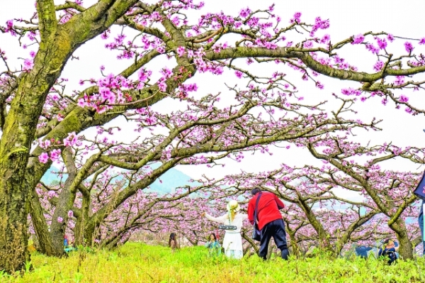 南明区永乐乡：奏响乡村振兴曲 描绘美丽新画卷