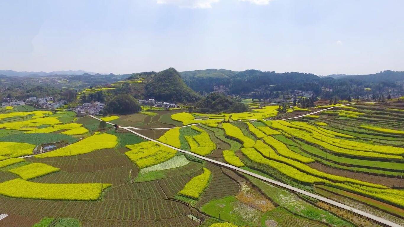 流长苗族乡油菜村“数治”系统投用 推进平安乡村建设
