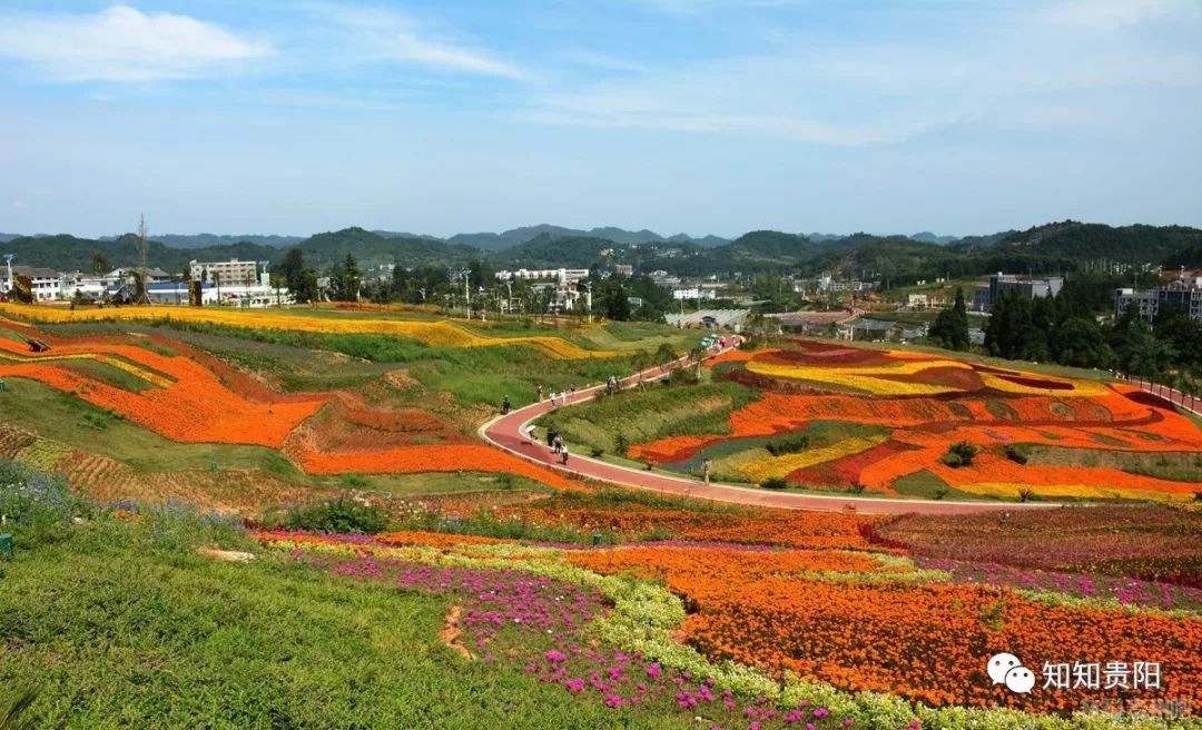 乌当区羊昌镇推进文明旅游 助力乡村振兴