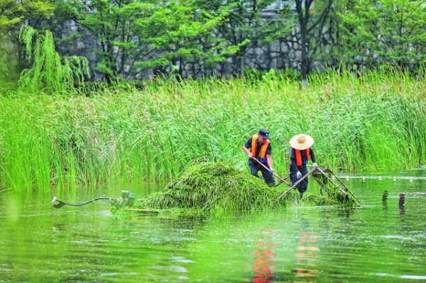“美容”湖面 提升“颜值”