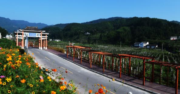 文明花开别样红 产业发展氛围浓——记全国文明村镇息烽县小寨坝镇