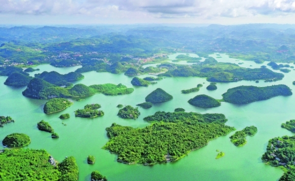 陈晏强调：牢牢守好发展和生态两条底线 奋力在生态文明建设上出新绩