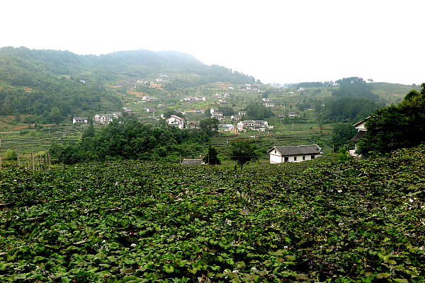 “三改”项目暖民心 城市更新正当时——息烽县推进新型城镇化建设见闻
