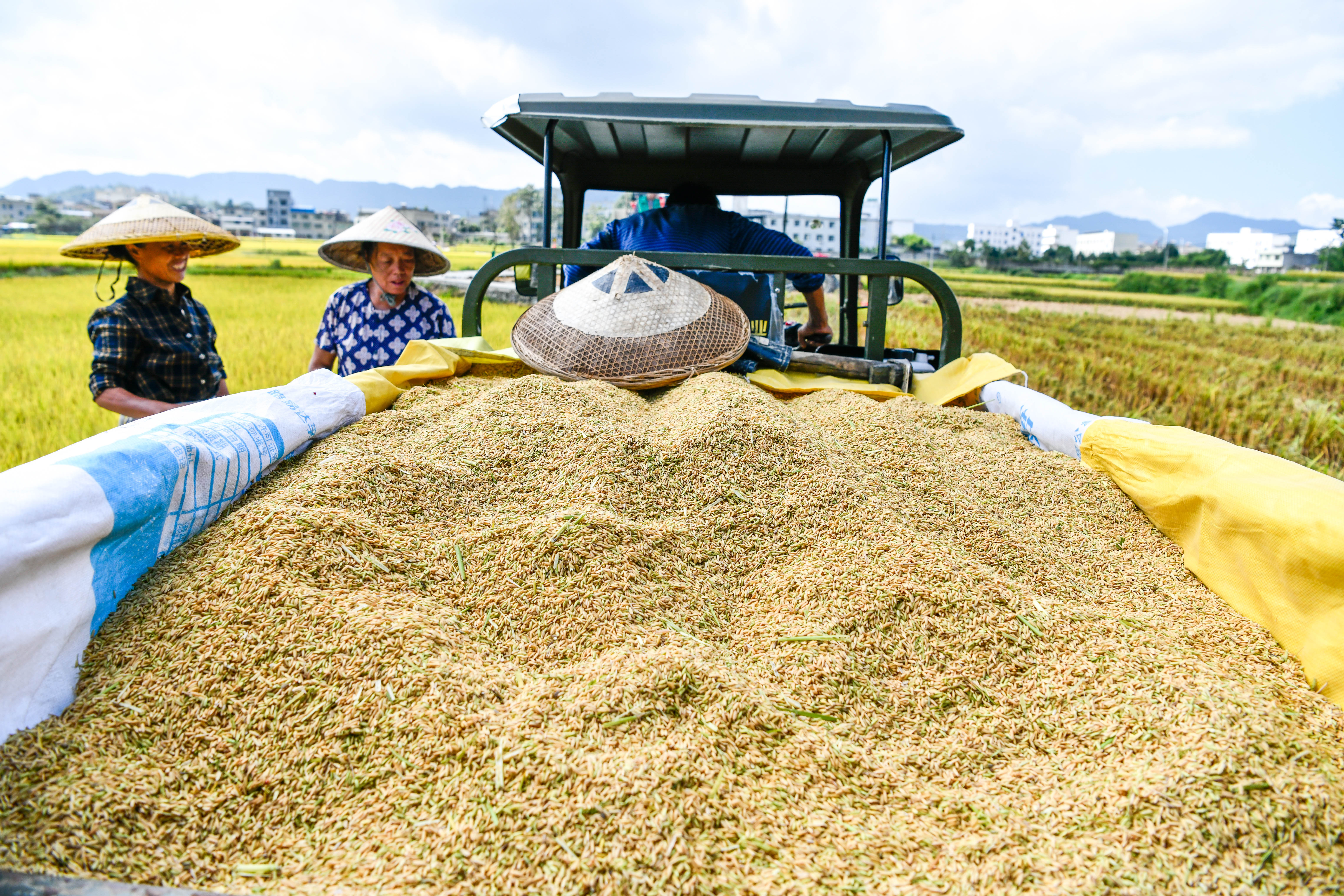 9月15日，贵州省龙里县湾滩河镇羊场社区的农民利用三轮车搬运稻谷。新华社记者 杨文斌 摄