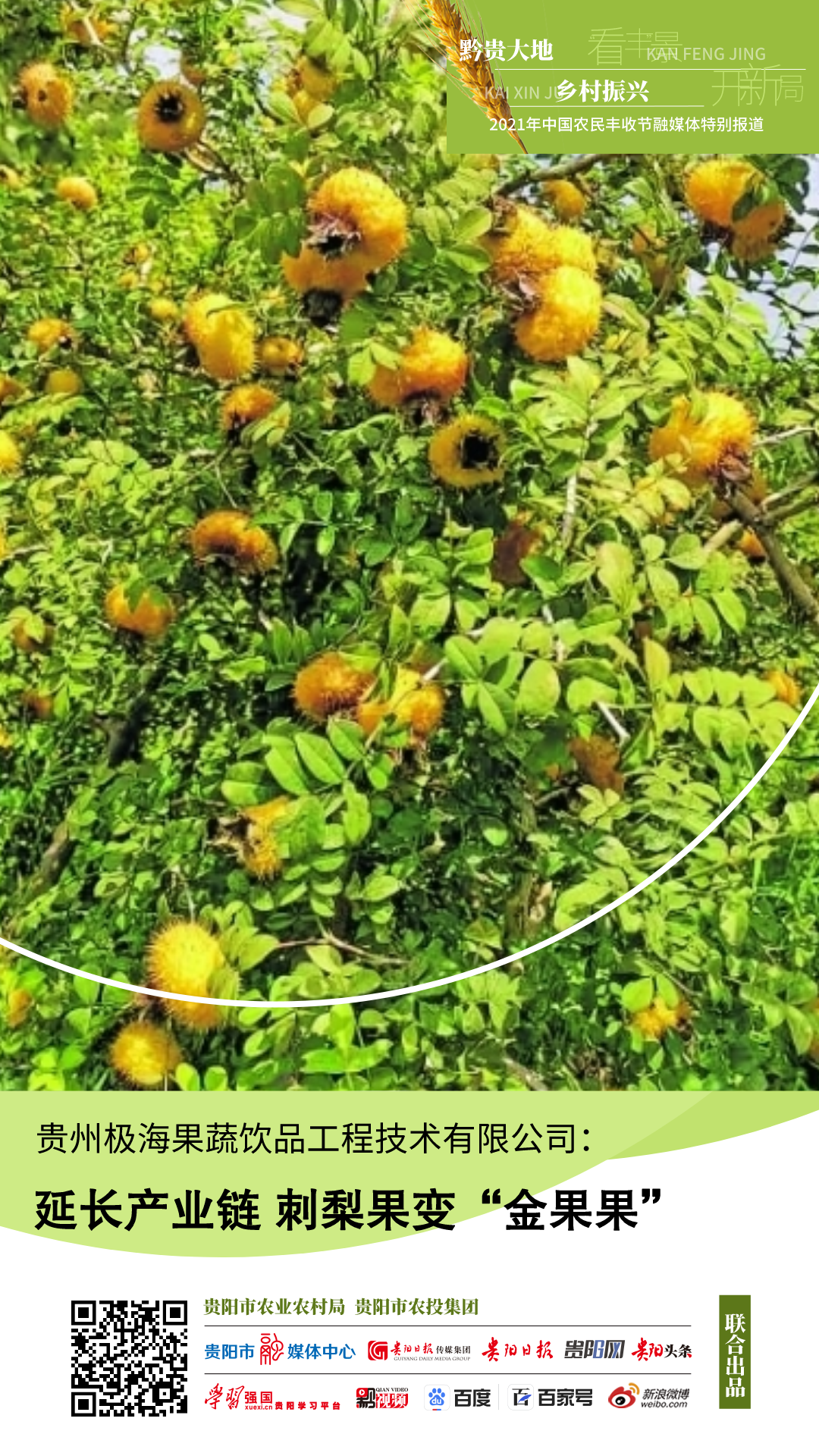 贵州极海果蔬饮品工程技术有限公司：延长产业链 刺梨果变“金果果”