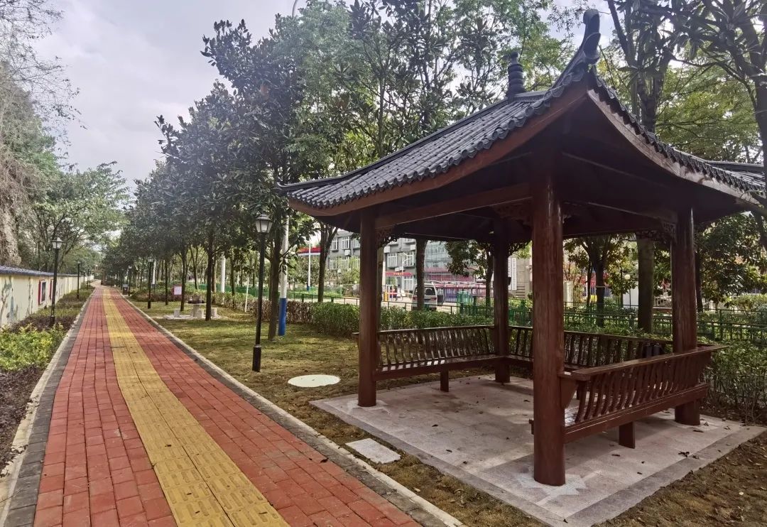 一圈两场三改|看观山湖区这条道路如何诠释背街小巷的“新解”