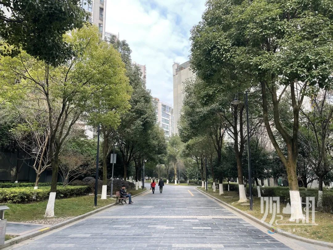 一圈两场三改|小区“美颜” 幸福“升级”