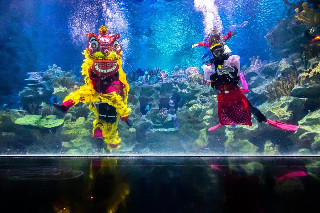 吉隆坡：水中舞狮贺新年
