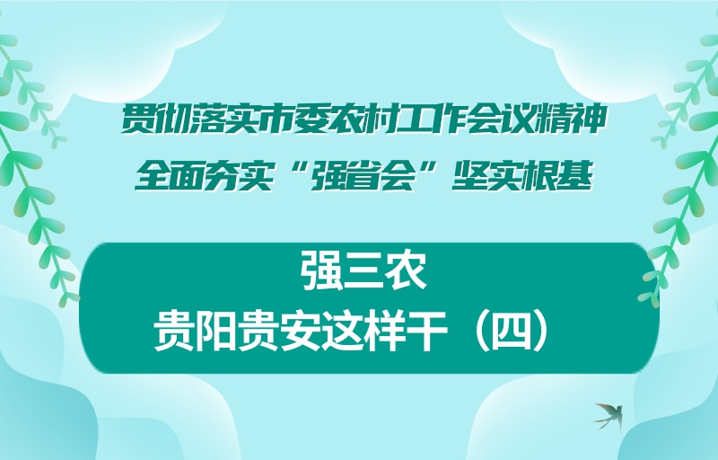 【图解】强三农 贵阳贵安这样干（四）