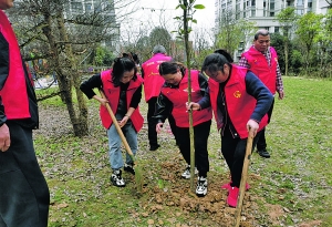 貴陽白云區云城街道干部群眾和志愿者植樹