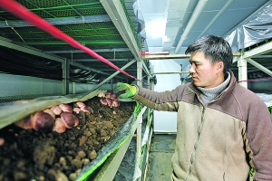 贵阳贵安：推进农业现代化 助力“强省会”