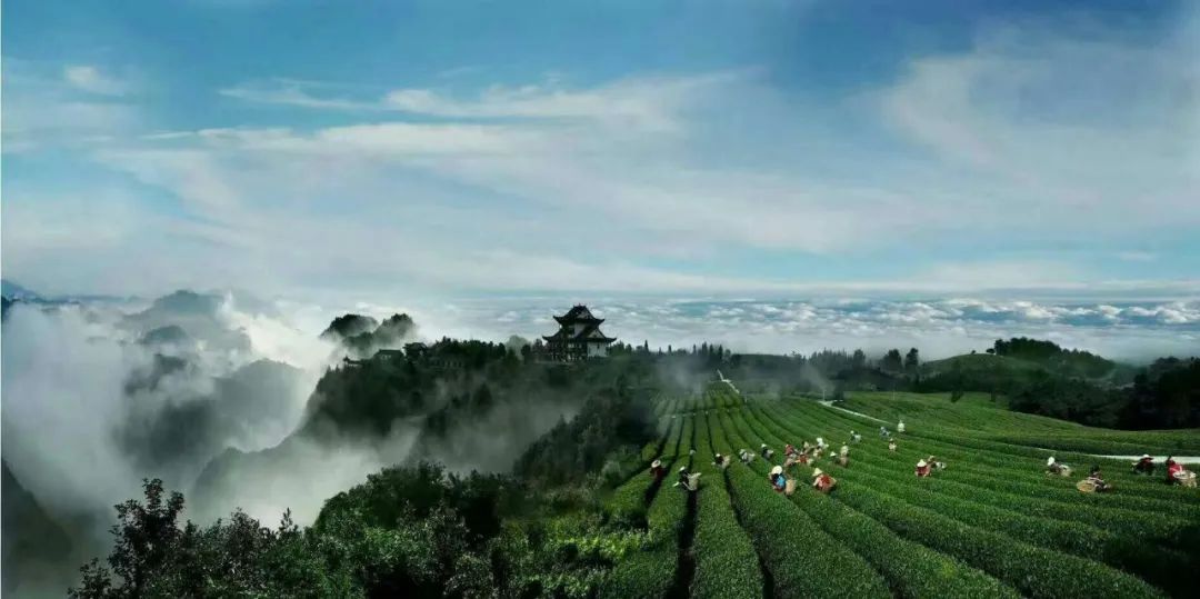 五一怎么玩？硒养开阳欢迎来打卡→　