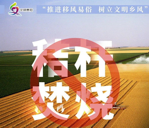 海报 | 推进移风易俗 树立文明乡风