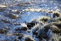 晚秋时节 内蒙古大兴安岭“开”冰花