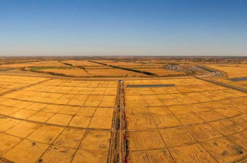 吉林西部：昔日盐碱地 今朝丰收田