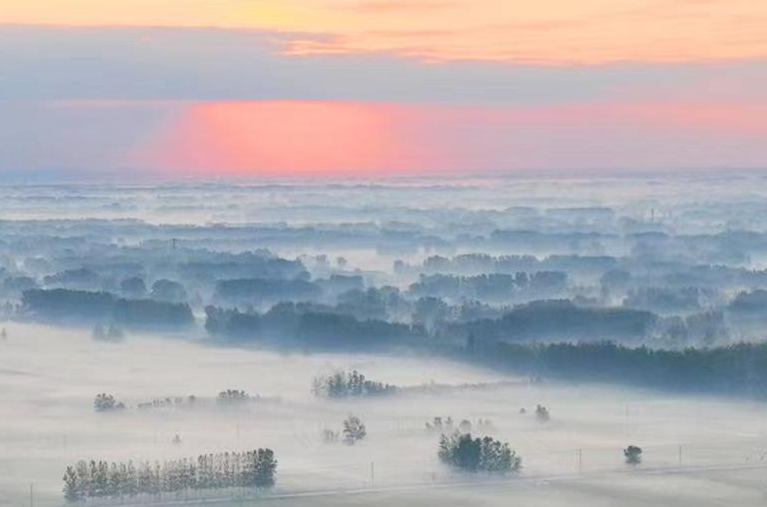 江苏连云港：乡村清晨云雾缭绕宛若水墨画