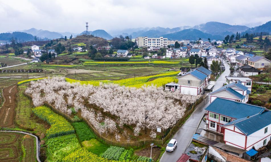 为中国人民谋幸福 为中华民族谋复兴——党的十八大以来以习近平同志为核心的党中央治国理政纪实