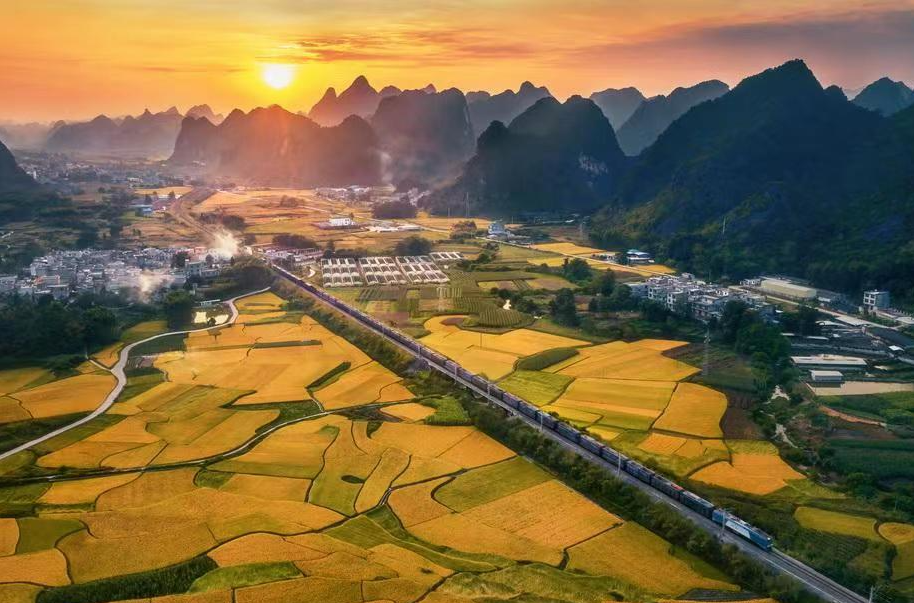 广西百色：稻浪翻滚迎丰收